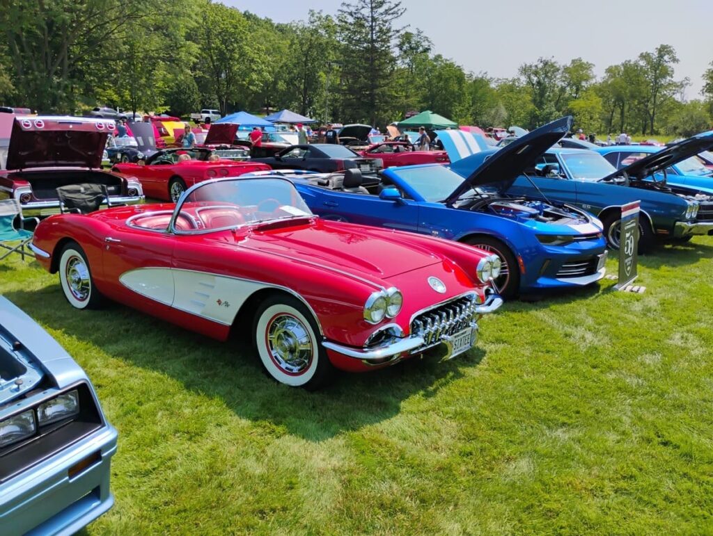 Community gathered around show cars at a fundraiser benefiting MCC special needs nonprofit